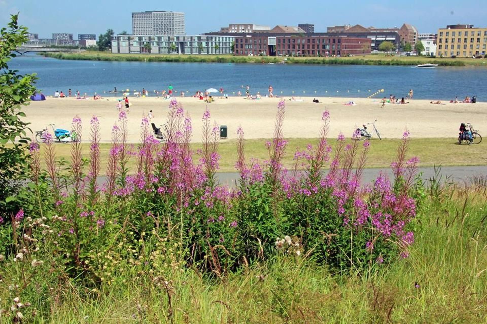 Diemerpark: een groene oase vol natuur en geschiedenis vlak bij Strandeiland