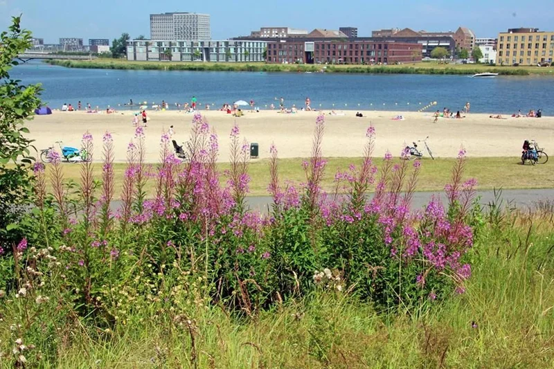 Diemerpark: een groene oase vol natuur en geschiedenis vlak bij Strandeiland